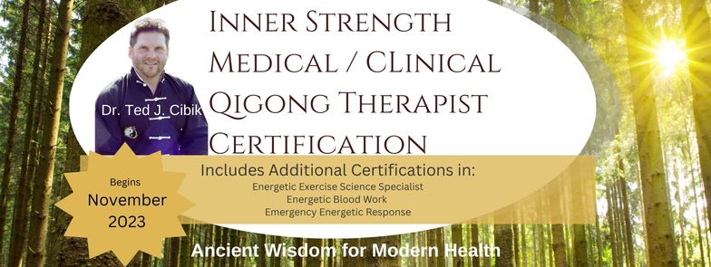 Medical Qigong Therapist(11)