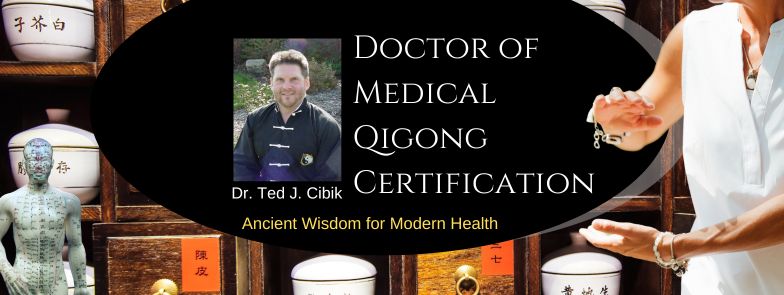 Medical Qigong Therapist(10)