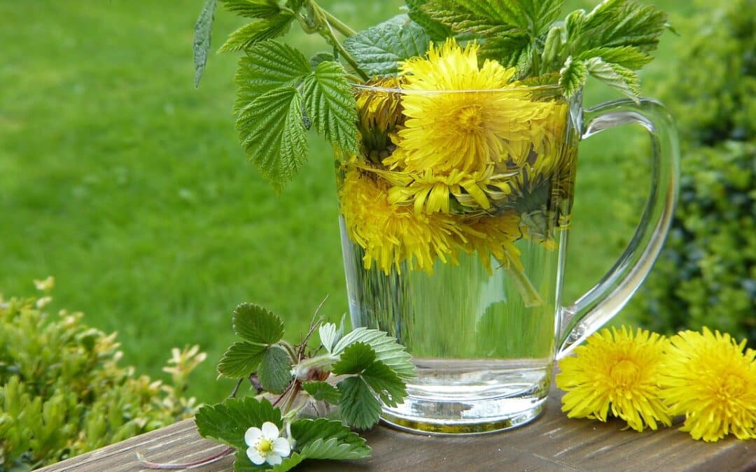 Spring Detox: Supporting the Liver, Kidneys, and Cellular Renewal